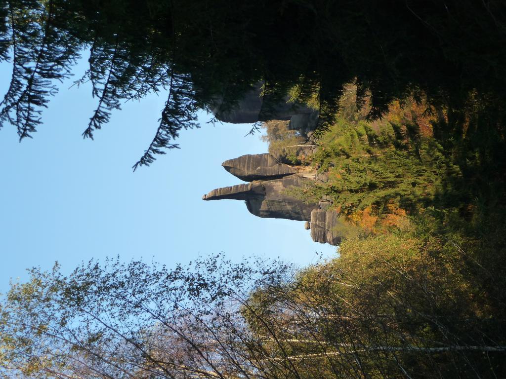 Hotel Brueckenschaenke Sebnitz Buitenkant foto